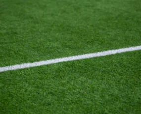 Grama Esportiva